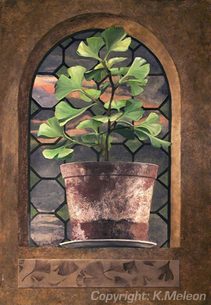 Gingko